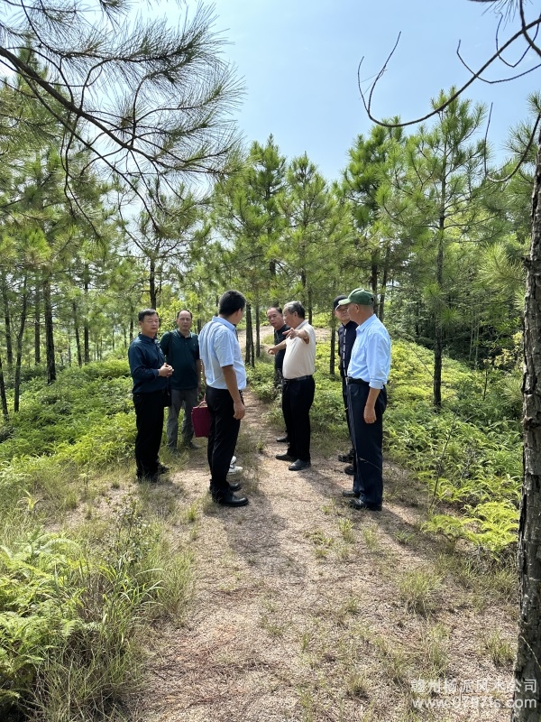 黄冈市学杨公风水跟陈荣昌老师实在